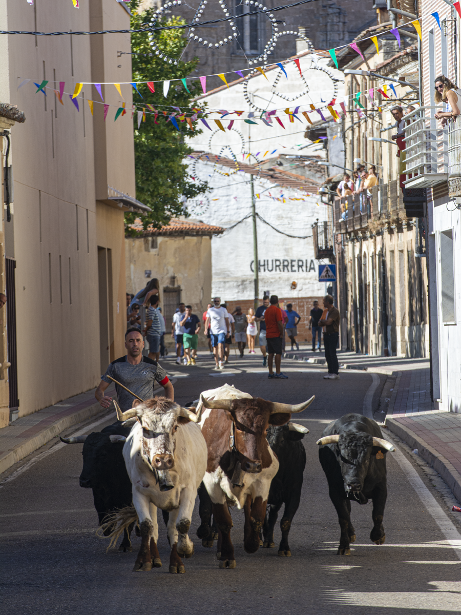 “¿QUÉ VEO?” ¿Cómo gestionar la tradición?
